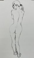 なべのさん